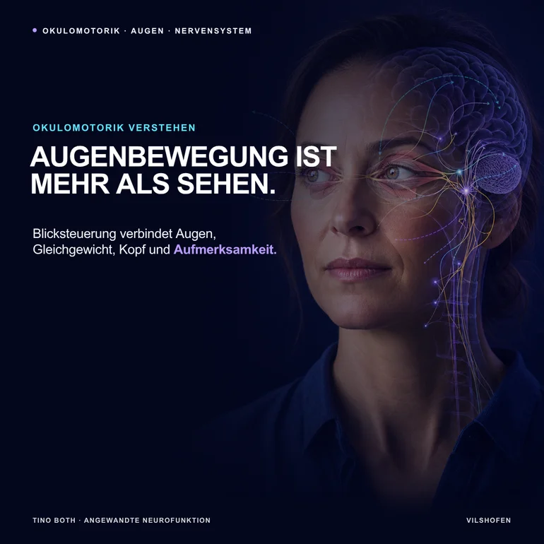 Okulomotorik verstehen: Wie Augenbewegungen deinen Alltag steuern