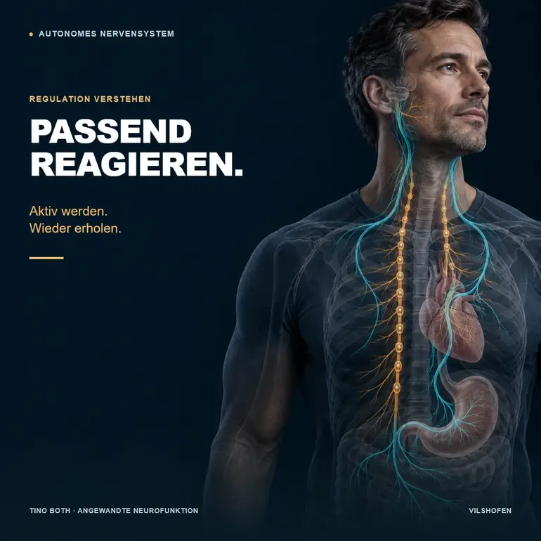 Autonomes Nervensystem verstehen: passende Regulation statt Dauerentspannung