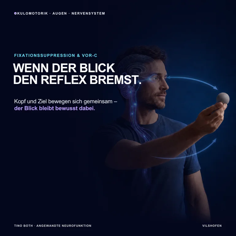 Fixationssuppression und VOR-C einfach erklärt – wenn der Blick den Reflex bremst
