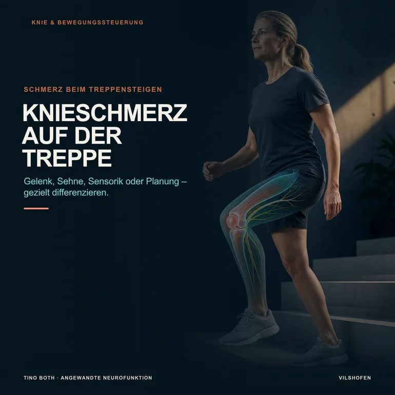 Knieschmerzen beim Treppensteigen: Gelenk, Sehne, Sensorik oder Bewegungsplanung?