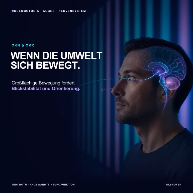 OKN und OKR: Wie die Augen auf bewegte Umgebungen reagieren