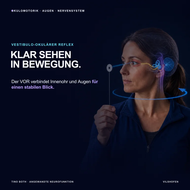 VOR einfach erklärt – warum der vestibulo-okuläre Reflex den Blick stabil hält