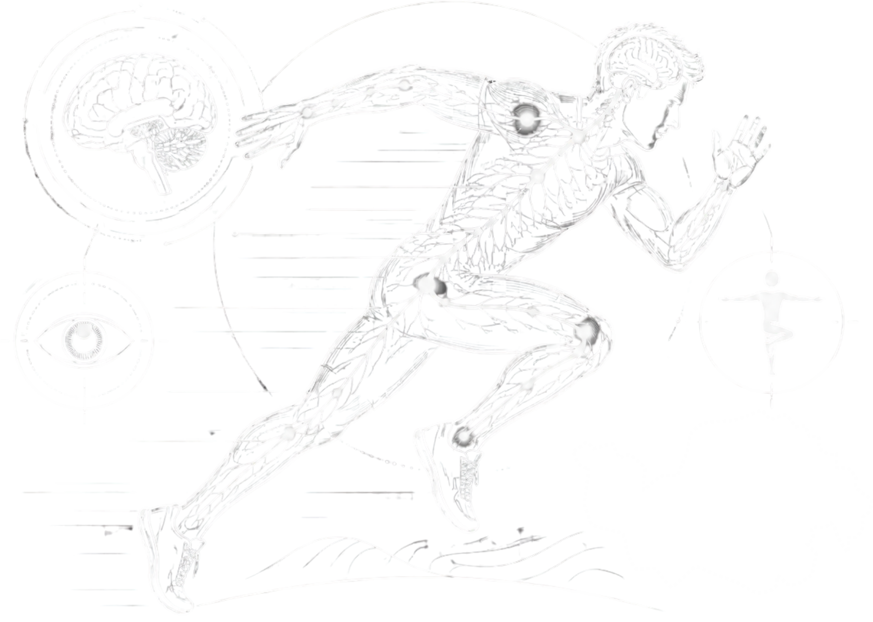 Neuroathletik für Sportler und Vereine in Niederbayern