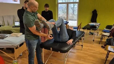 Bild zum Beitrag Rezeptorbasierte Therapie nach Daniel Müller – was ich aus dem Seminar für meine Arbeit mitgenommen habe